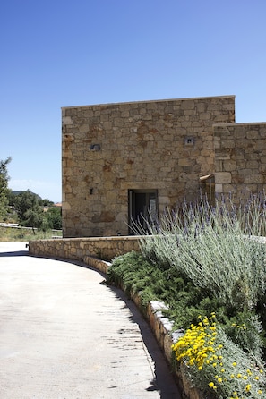 A stone building with a curved driveway and a garden with lavender and yellow flowers.