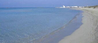 TERRANOSTRA GARDEN: WITH PRIVATE POOL IN SALENTO