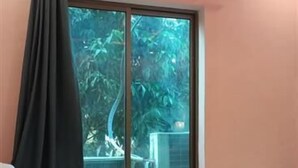 واي فاي مجانًا