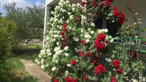 A building with a balcony covered in white and red flowers.