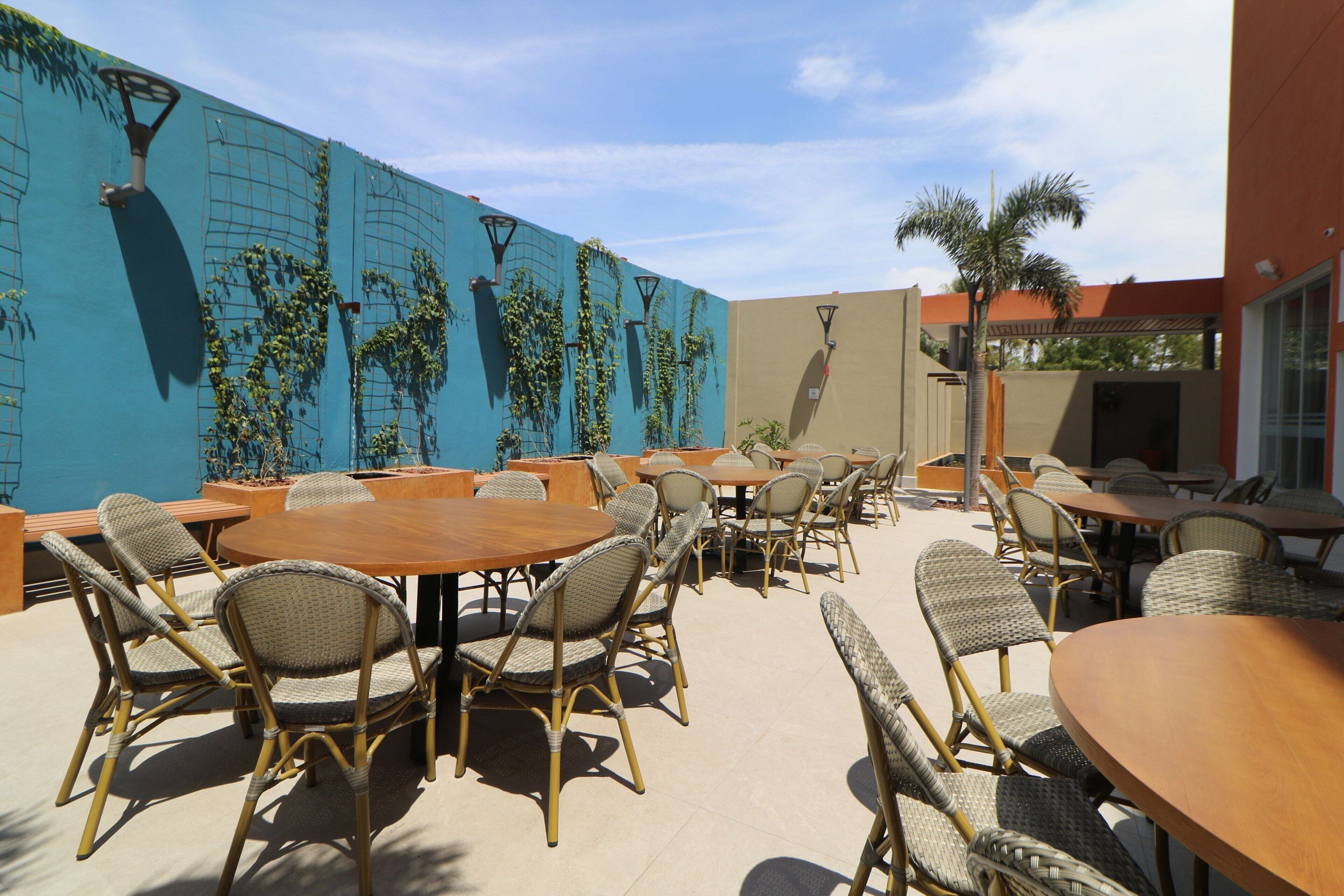 Un patio al aire libre con mesas redondas y sillas de mimbre, un mural con plantas trepadoras y una palmera.