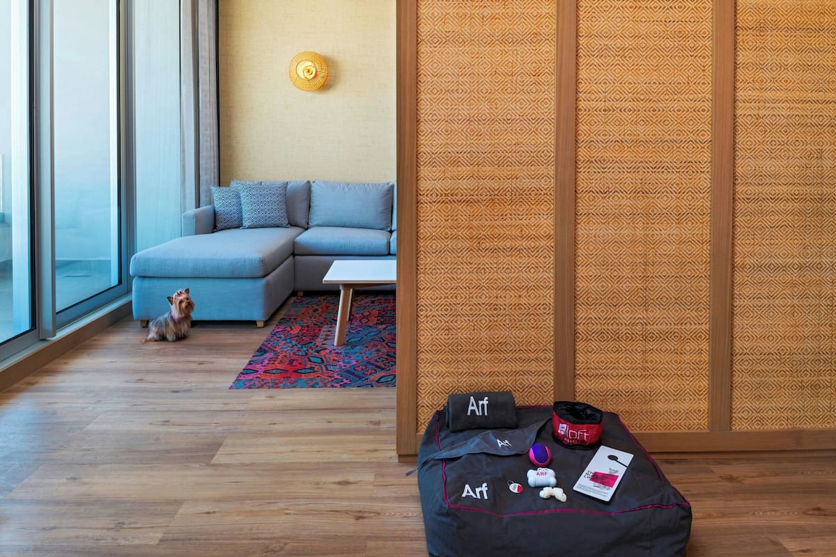 Un salon moderne avec un canapé, un petit chien, un mur à motifs et un sac sur lequel on peut lire le mot « Arf ».