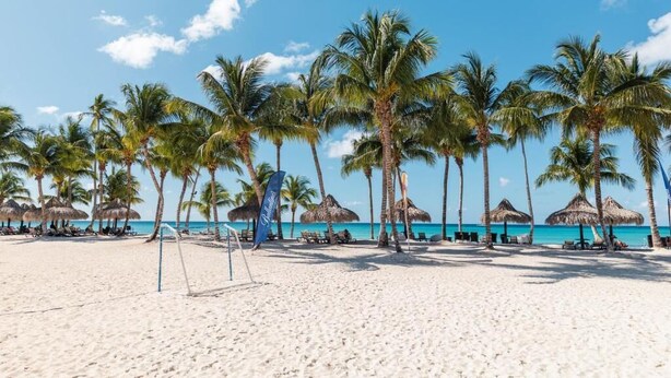 A beach with palm trees, thatched umbrellas, and a clear blue sky.