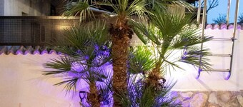 Nice townhouse with private pool, BBC and 2.5 km from Puy Du Fou.