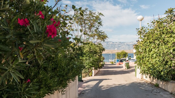 A pathway lined with greenery and a view of a body of water with mountains in the distance. - Apartment Steindl (Vir)