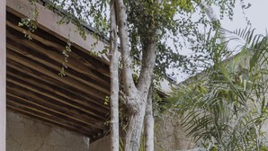 A modern outdoor space with a stone wall, a wooden pergola, and a variety of tropical plants. - Entorno Villas  (Tulum)