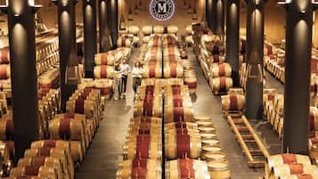 A large wine cellar with rows of wooden barrels and a central walkway.