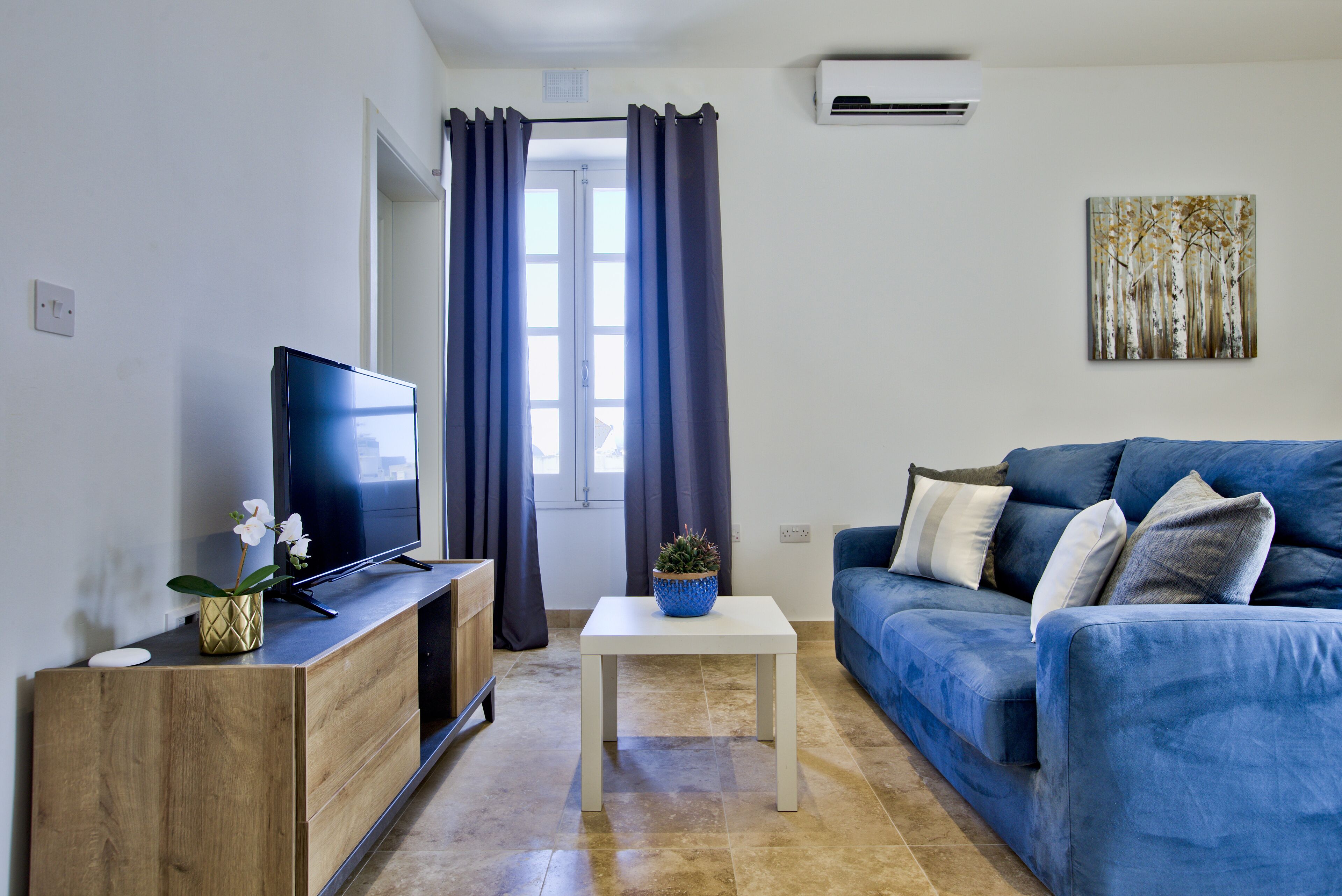 Un salon avec un téléviseur, un canapé bleu, une petite table avec une plante et une fenêtre avec des rideaux.