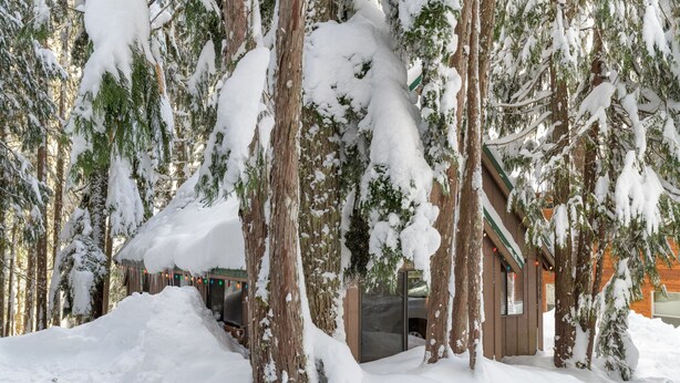 A wooden cabin surrounded by snow-covered trees. - Summer special, stay before 9/8/26 get third night half off. (Government Camp)