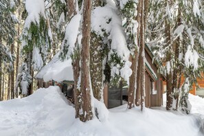 Une cabane en bois entourée d’arbres couverts de neige.