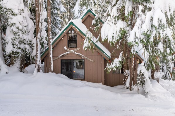 Une cabane aux murs bruns et au toit vert, entourée d’arbres couverts de neige.
