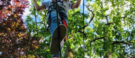 A person on a rope swing high above the ground, surrounded by trees.