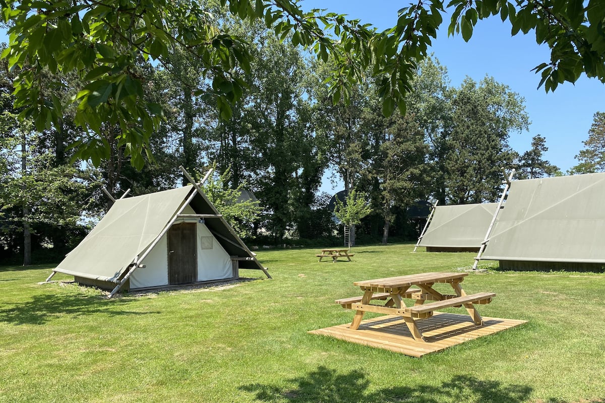 Un camping con dos tiendas de campaña, una mesa de picnic y un cobertizo pequeño.