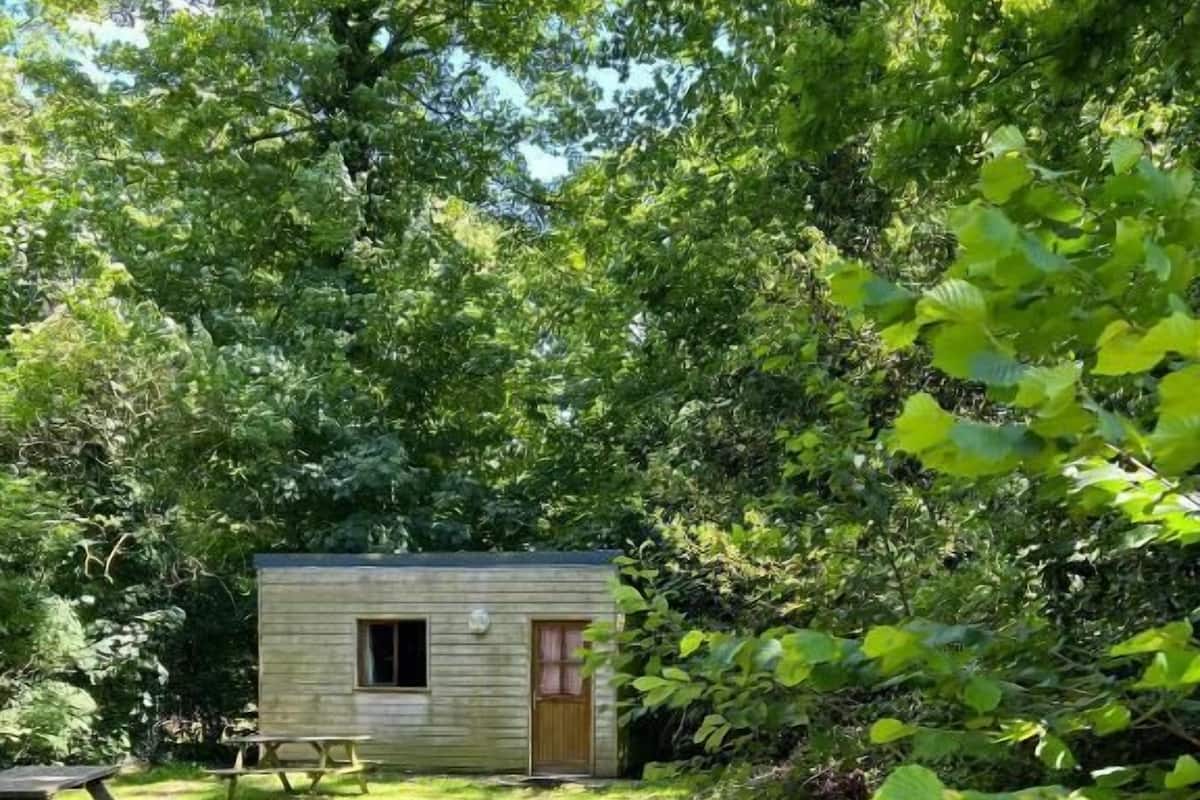 Una pequeña cabaña de madera con puerta y ventanas, rodeada de árboles y un camino de grava.