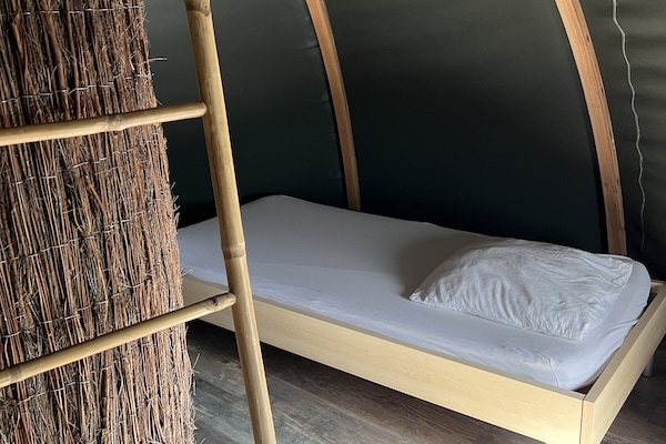 Tree House