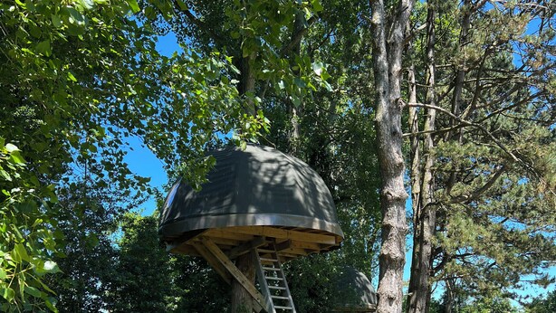 A treehouse with a ladder leading up to it, surrounded by greenery and trees. - Etretat Aventure (Les Loges)