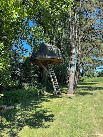 Tree House. Etretat Aventure