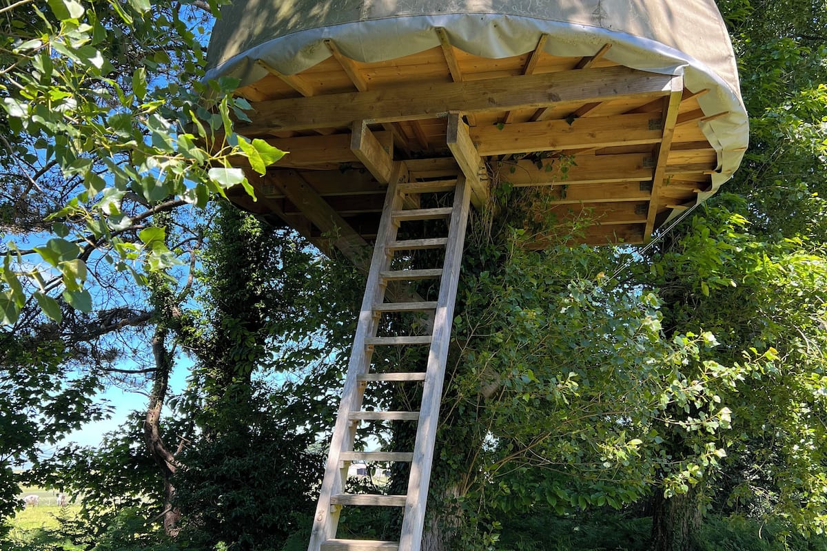 Una estructura de madera con una escalera que lleva a un espacio cubierto, rodeada de árboles y vegetación.