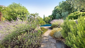 A garden pathway leading to a pool, surrounded by various shrubs and trees. - Holiday Apartment "Jose" with Shared Pool, Terrace & Wi-Fi (Tremosine)