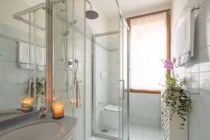 Shower, hair dryer, towels