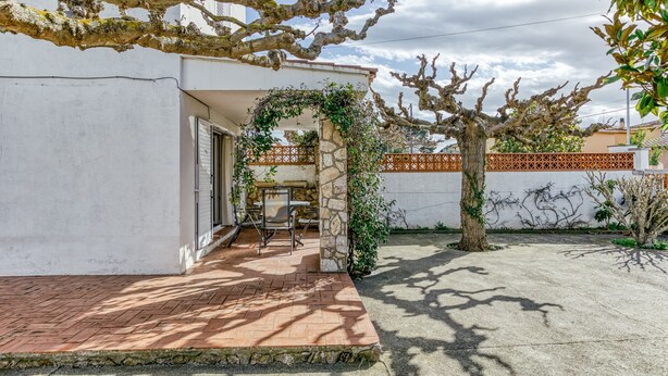 A courtyard with a patio, a stone wall, and a tree with vines.