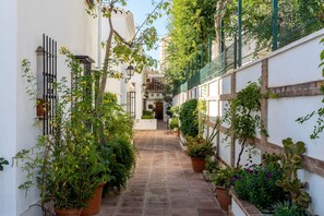 A narrow alleyway with potted plants and a cactus wall.