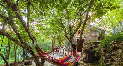 Stone Forest Escape - Cozy Cinema & Starry Sky