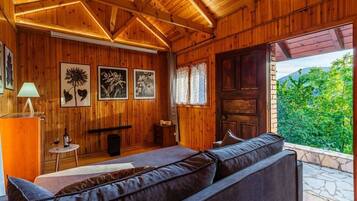 Fireplace, stereo, offices