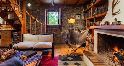 Stone Forest Escape - Cozy Cinema & Starry Sky