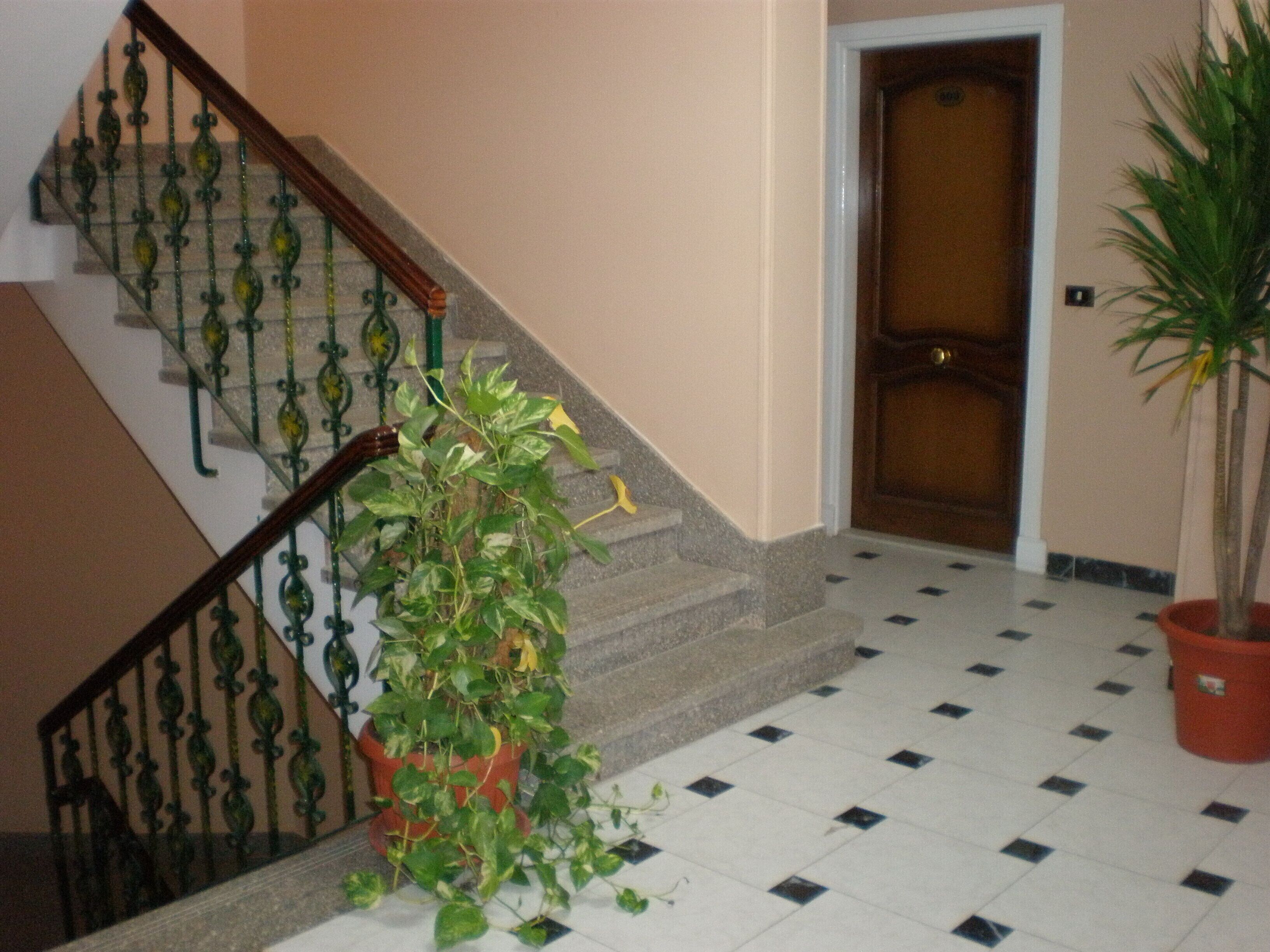 Photo - Golden Rose Hotel