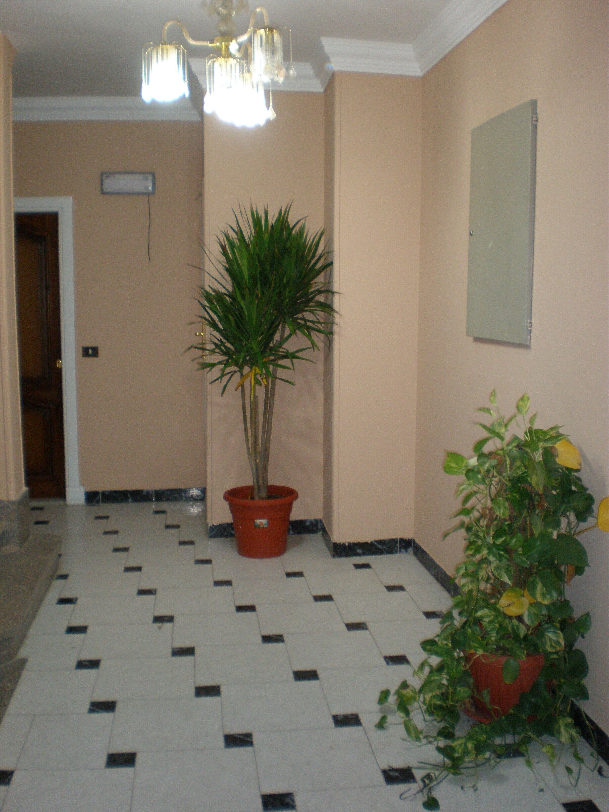 Photo - Golden Rose Hotel
