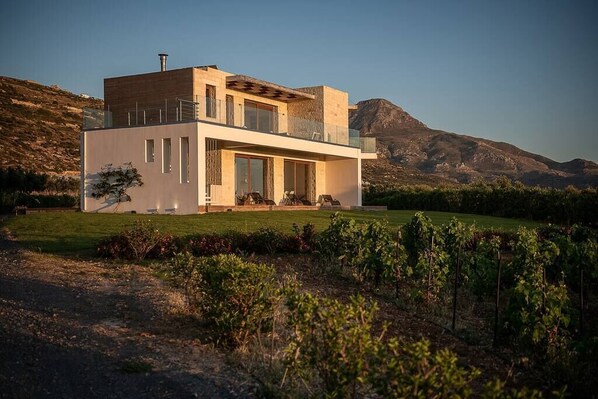 A modern two-story house with a flat roof, large windows, and a balcony. The house is surrounded by a well-maintained lawn and vineyard. - Casa le Cicale the top villa in Falasarna,Basketbal,pool,BBQ (Phalasarna)
