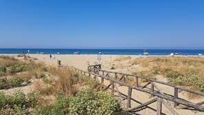 Playa en los alrededores