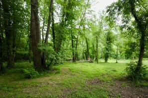 Handtücher, Seife, Shampoo, Toilettenpapier