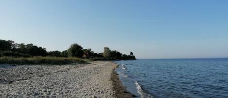 Playa en los alrededores y camastros