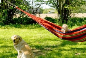 Terrain de l’hébergement 