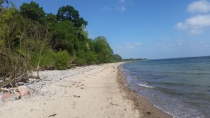 Ubicación cercana a la playa y tumbonas