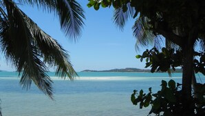 Ein Strand mit klarem türkisblauem Wasser, weißem Sand und Palmen.