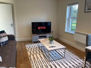 Älytelevisio, kirjoja