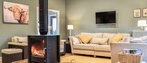 TV, fireplace