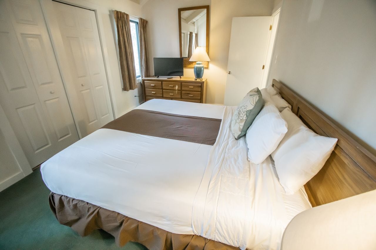 A hotel room with a bed, a television, a dresser, and a mirror.