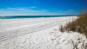 A beach with white sand and sparse vegetation.
