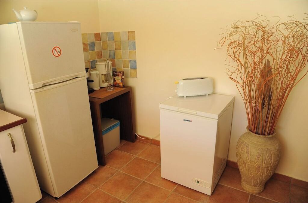 A compact kitchen with a refrigerator, a small fridge, a toaster, and a decorative vase.