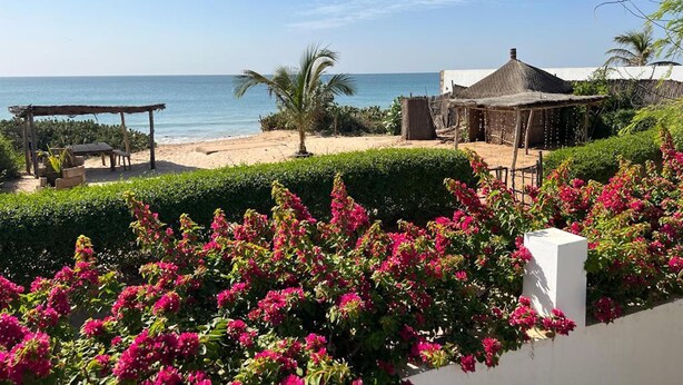 A beach view with a thatched-roof structure, a white building, and vibrant pink flowers. - Bine Bassile (Guereo)