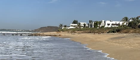 Une plage avec des vagues, un rivage sablonneux et des bâtiments blancs bordés de palmiers.
