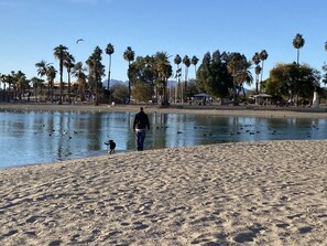 A sandy beach with a pond, palm trees, and a gazebo. - Lake life getaway w/ massage chair, pet friendly, & amazing sunset  view  (Lake Havasu City)