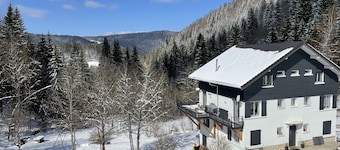 LES DAPPES 5-person chalet apartment rated 3* LES ROUSSES