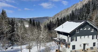 LES DAPPES appartement-chalet 5 personnes classé 3* LES ROUSSES