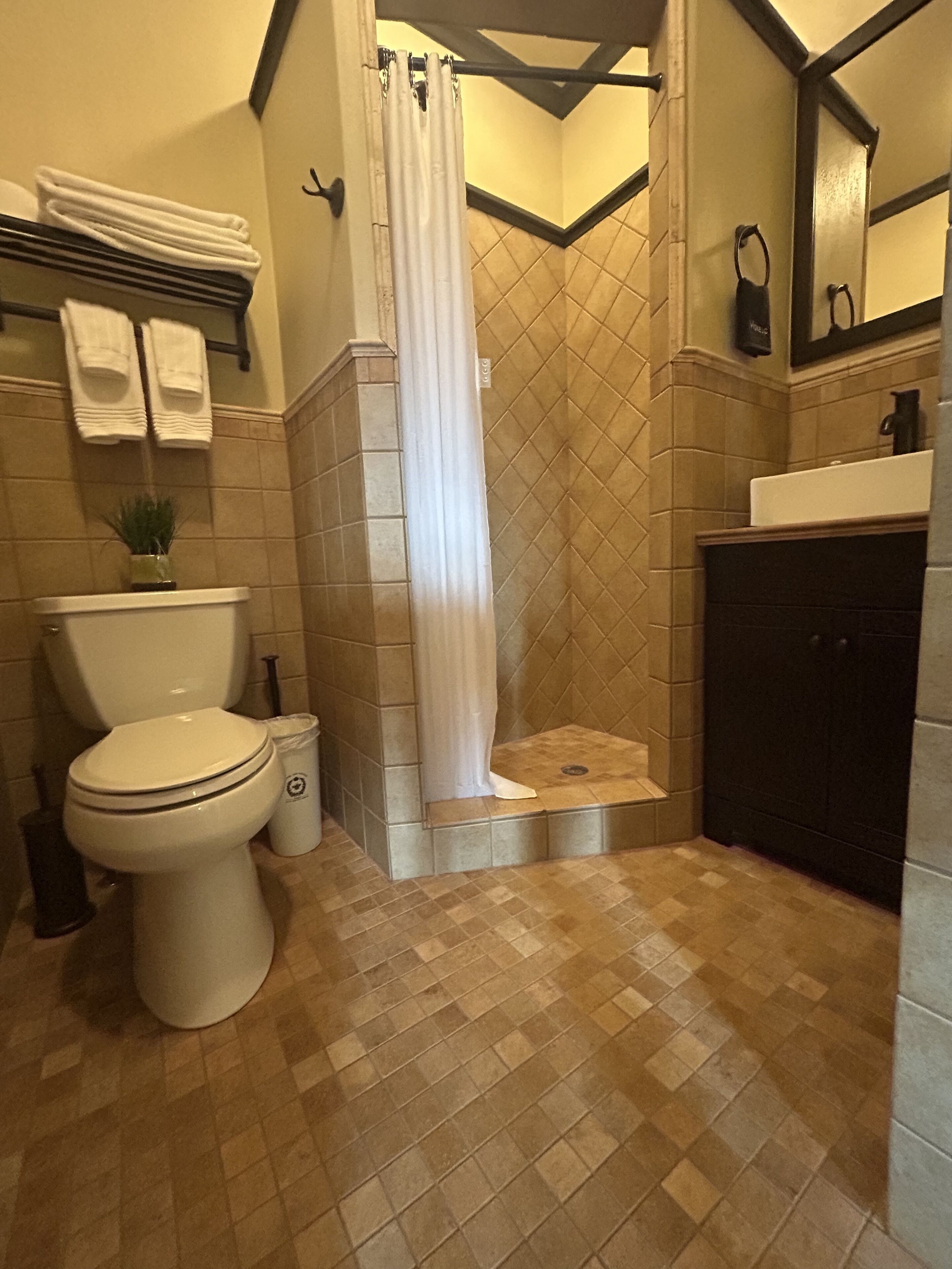 A bathroom with a toilet, a sink, a shower with a curtain, and a towel rack.