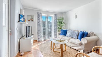 Smart-tv, dvd-afspiller, bøger